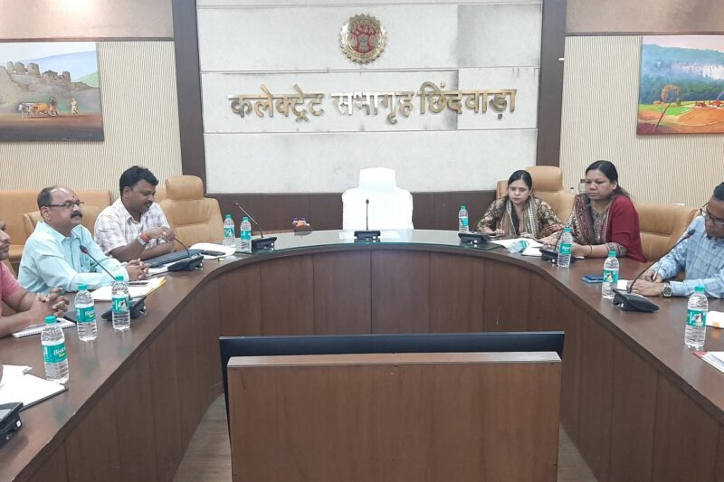 बीएलओ प्रशिक्षण को लेकर आयोजित हुई ऑनलाइन प्रशिक्षण बैठक