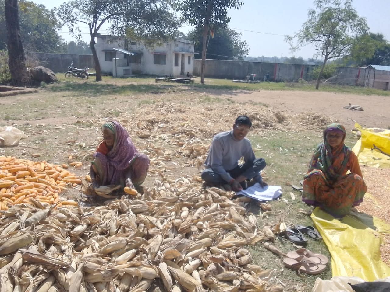 मतदाता सूची के विशेष गहन पुनरीक्षण के तहत घर-घर जाकर बीएलओ कर रहे हैं गणना फॉर्म का वितरण