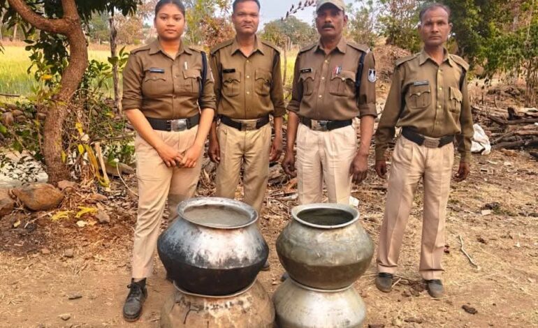 मोहखेड़ क्षेत्र में आबकारी विभाग की बड़ी कार्रवाई अवैध मदिरा ठिकानों पर दबिश, 2400 किलो महुआ लहान नष्ट