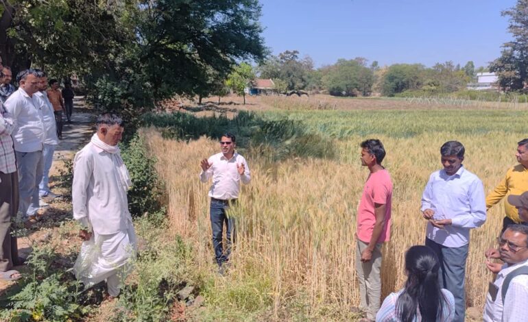 कृषक कल्याण वर्ष 2026’ में छिंदवाड़ा बना जलवायु अनुकूल खेती का मॉडल, खेतों तक पहुँची अंतर्राष्ट्रीय तकनीक