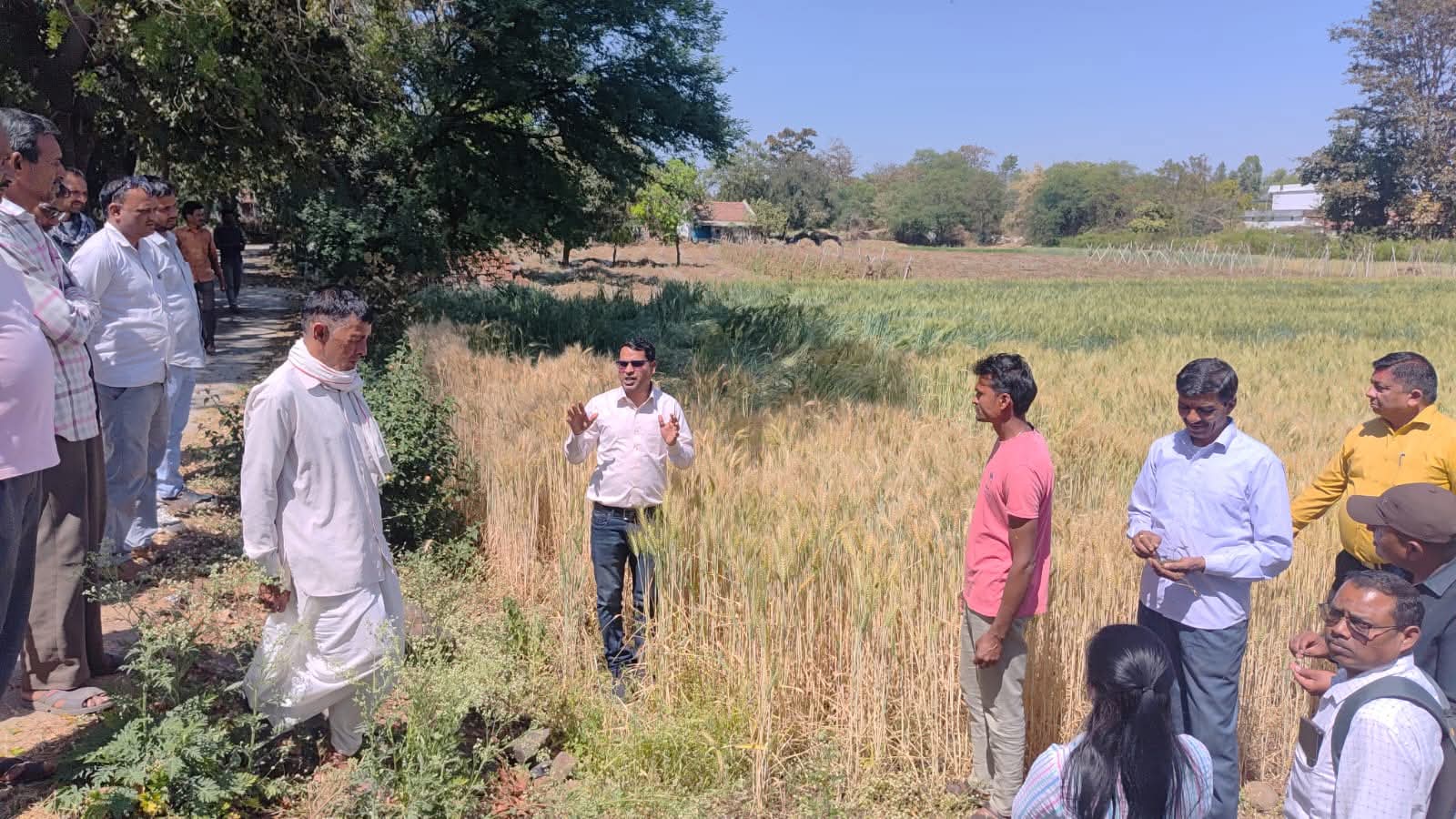 कृषक कल्याण वर्ष 2026’ में छिंदवाड़ा बना जलवायु अनुकूल खेती का मॉडल, खेतों तक पहुँची अंतर्राष्ट्रीय तकनीक